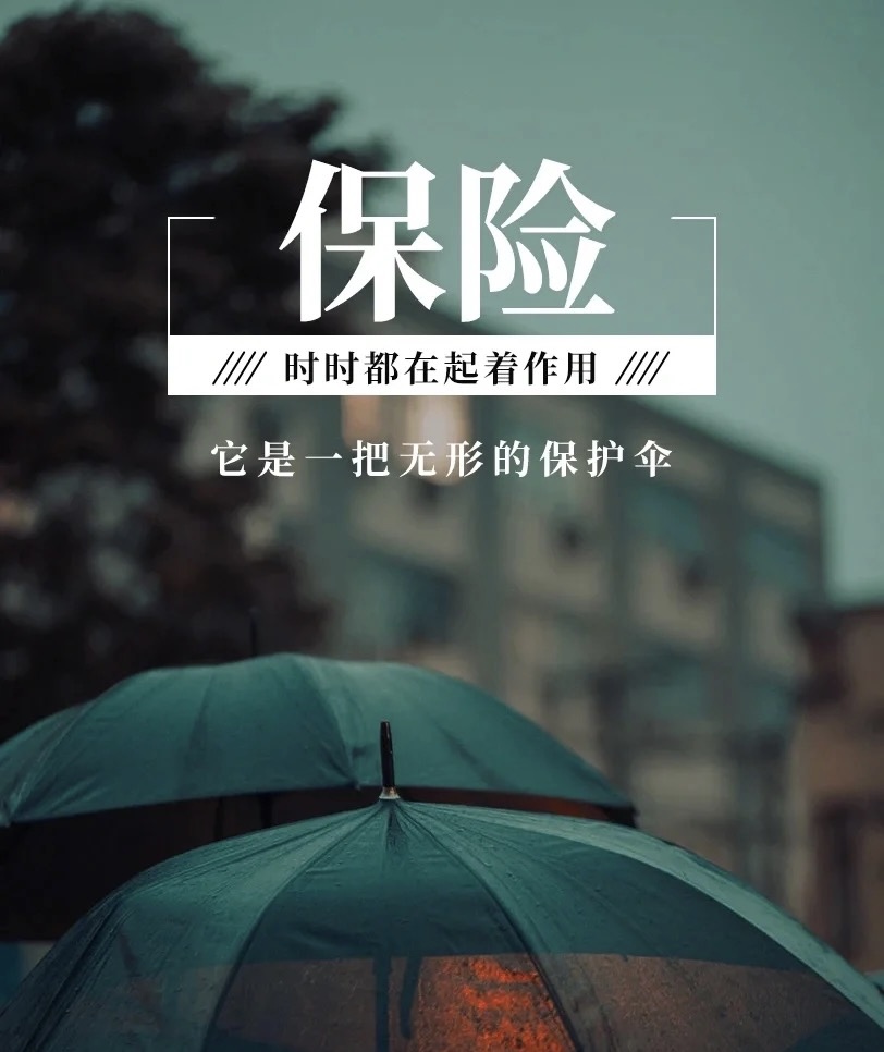 186ed3ef8bb562cedf10a1a5937f09b.jpg